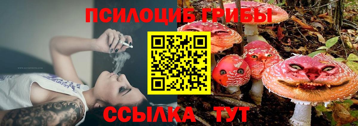 Ликино-Дулёво  Галлюциногенные грибы ЛСД  где продают   Псилоцибиновые грибы мицелий  Вход с VPN 